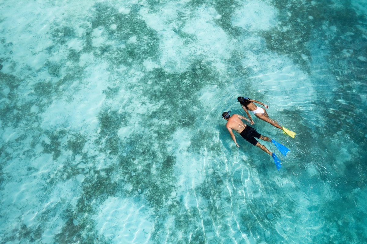 Exploring Maldivian Coral Reefs