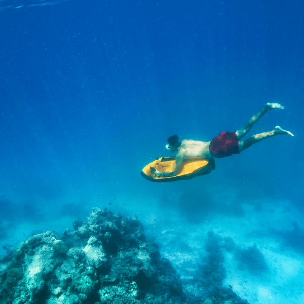 Seabob