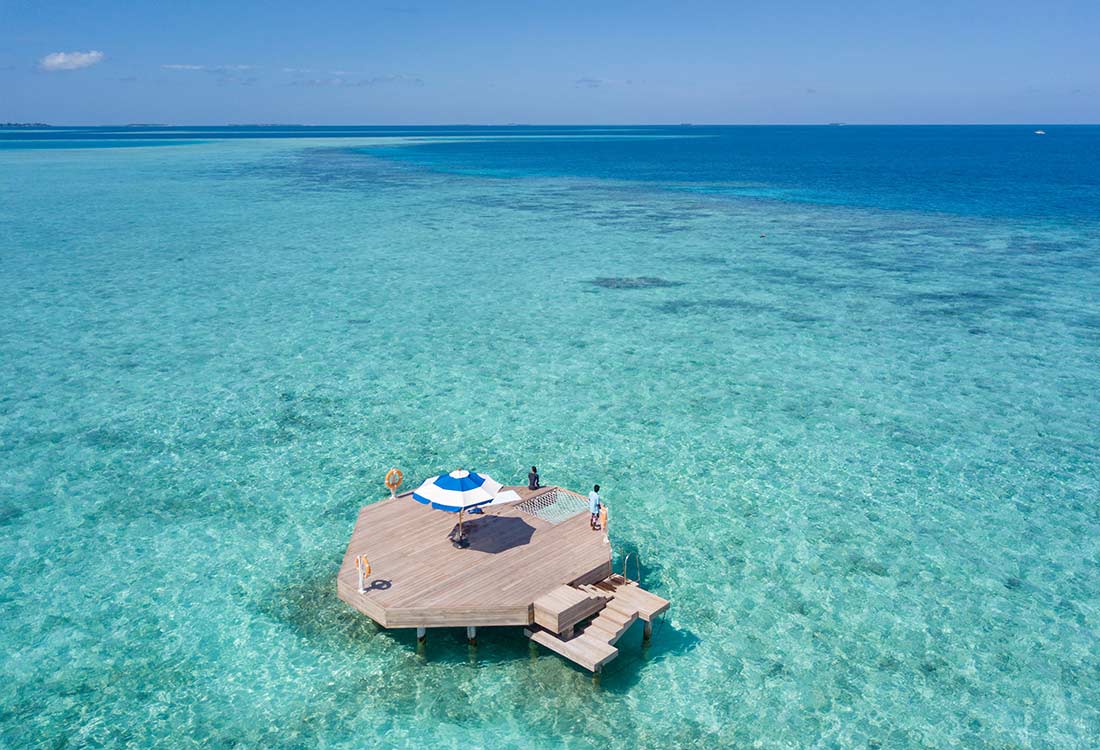 Snorkelling from the Overwater Platform